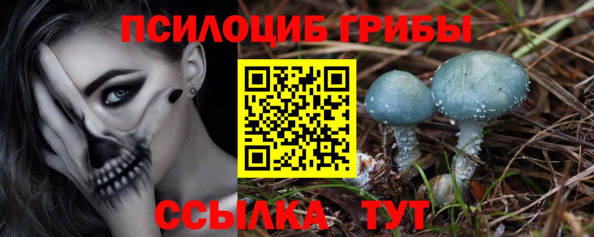 Ханты-Мансийск  Псилоцибиновые грибы Magic Shrooms  цены наркотик  Вход с VPN 